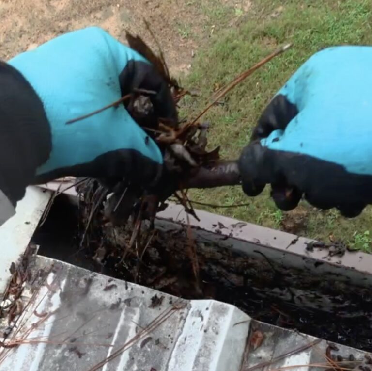 Gutter cleaning in Magnolia TX