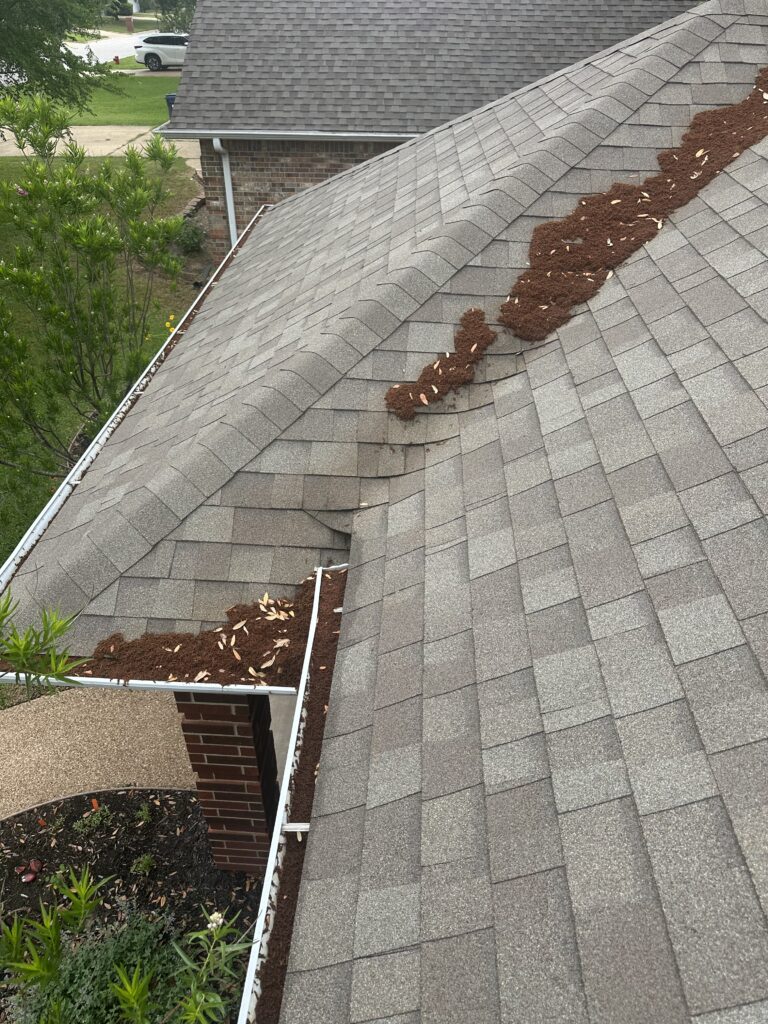 clogged gutters at a house in College Station TX.