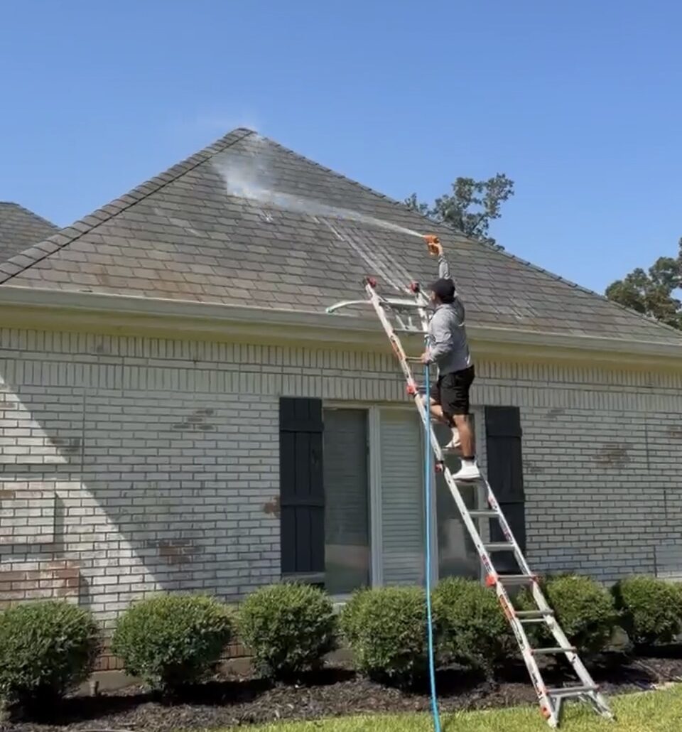 Roof soft washing black streaks off shingles on a brick home in College Station Texas